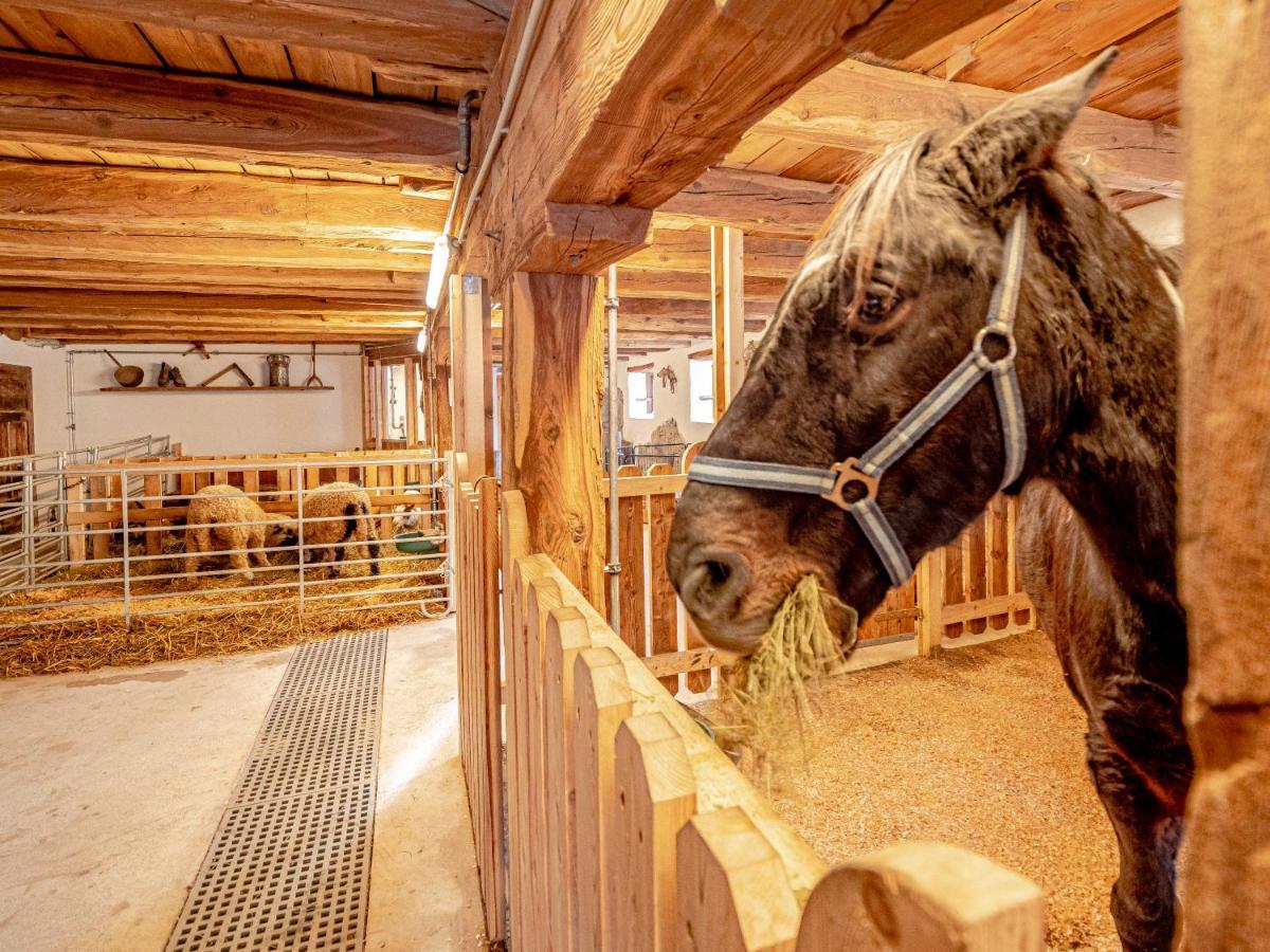 Zeiserhof Ramsau am Dachstein Kültér fotó