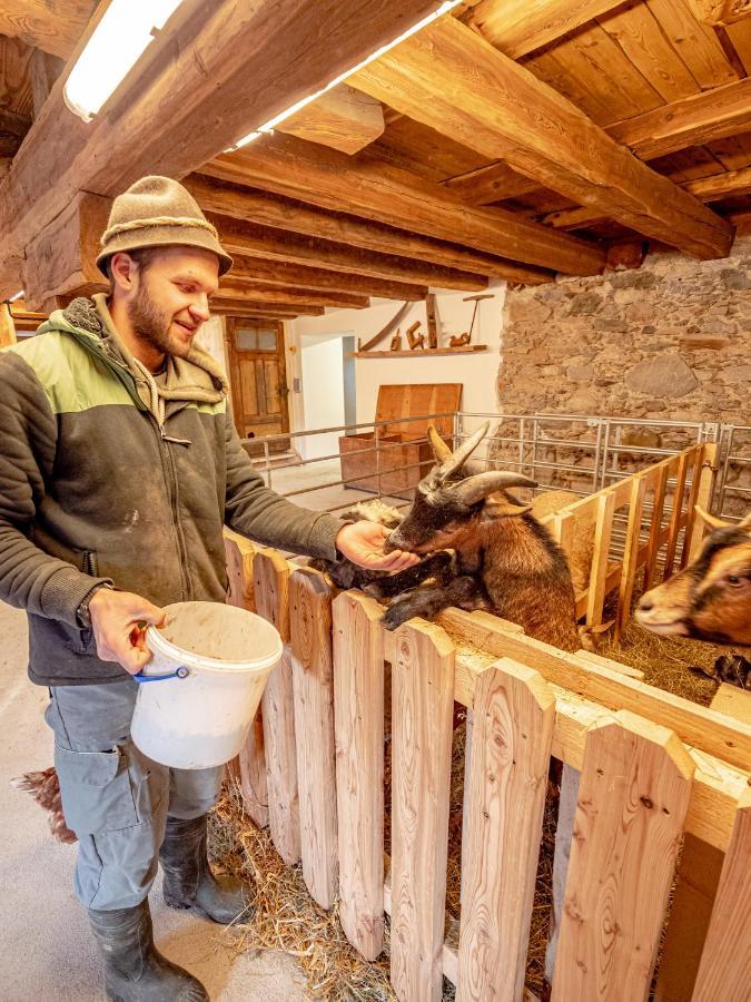 Zeiserhof Ramsau am Dachstein Kültér fotó